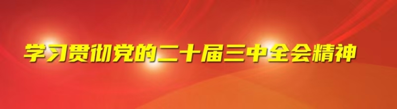 学习贯彻党的二十届三中全会精神